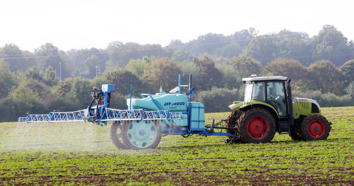 L'UE donne son feu vert aux nouveaux OGM : qu'est-ce que cela signifie pour l'agriculture ?