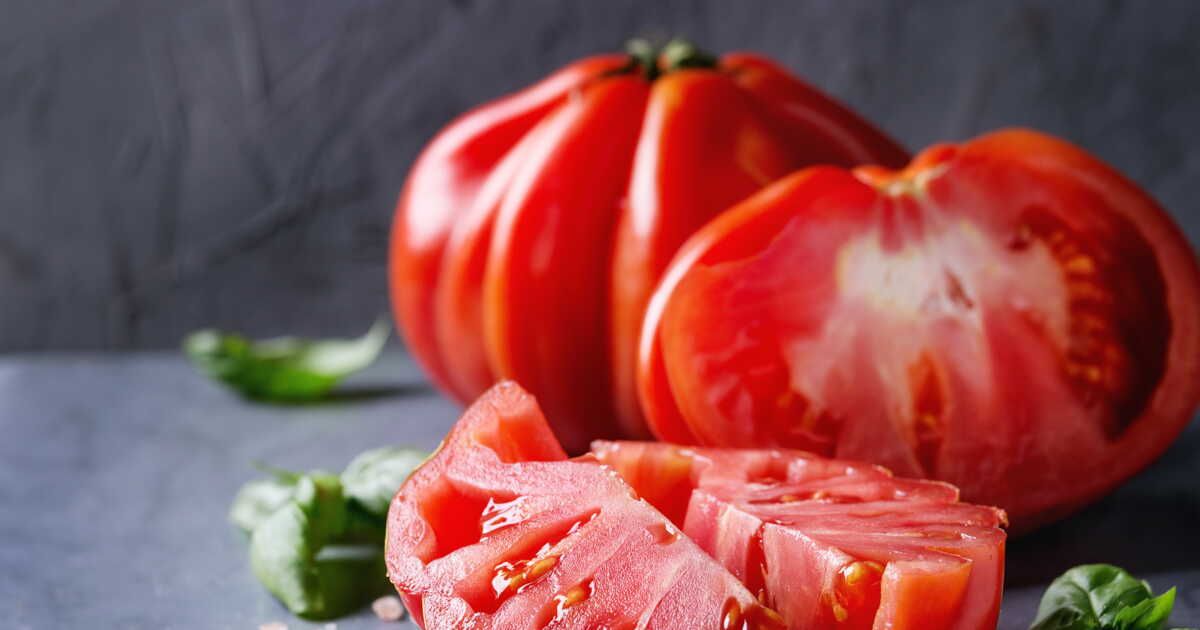 La tomate : un ingrédient vedette de l'entrée au dessert