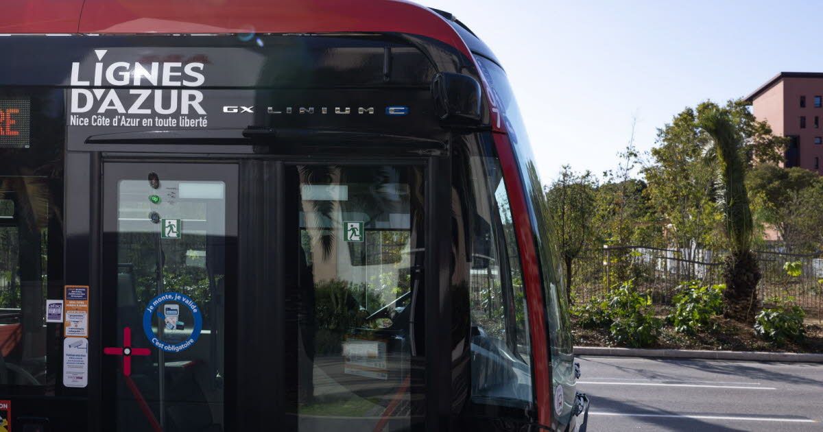 Quand la fatigue coûte cher : un chauffeur de bus confie son volant à un ami