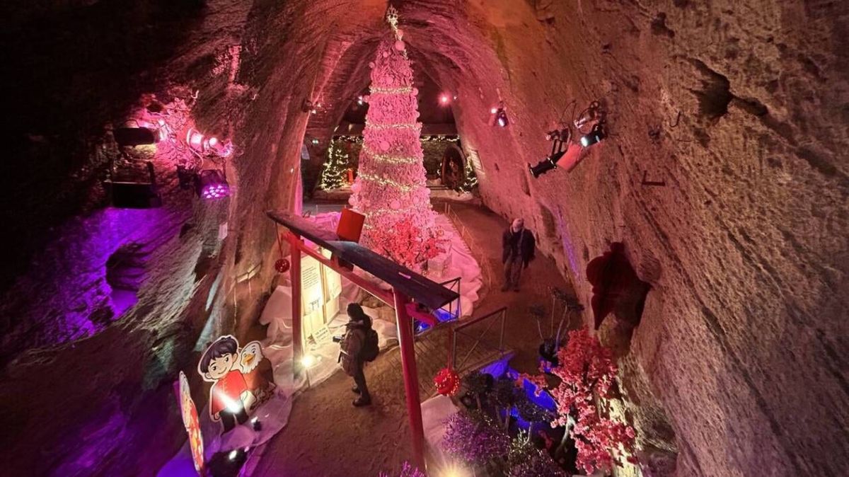 Doué-la-Fontaine : un marché de Noël féerique attire les foules