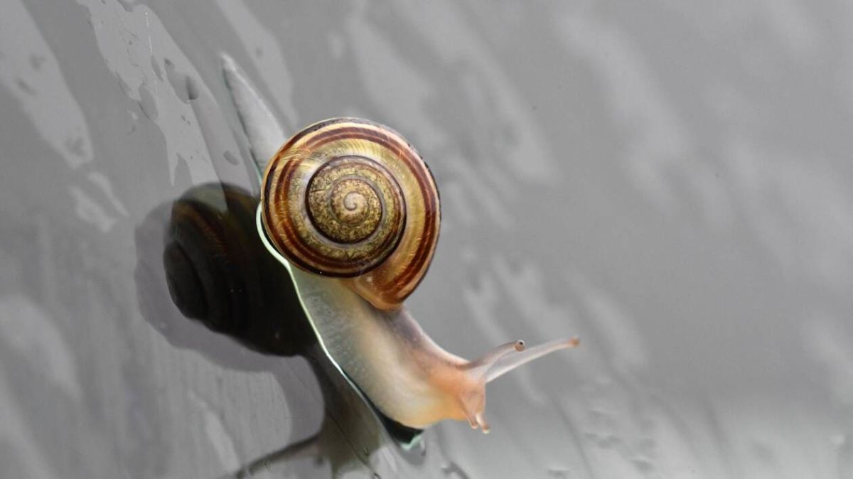 Météo : une journée fraiche et brumeuse attend Bayeux ce 6 décembre 2025