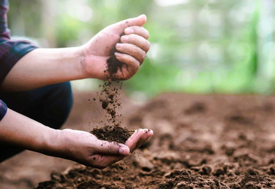 Transformez votre sol argileux en un jardin luxuriant avec ces astuces simples