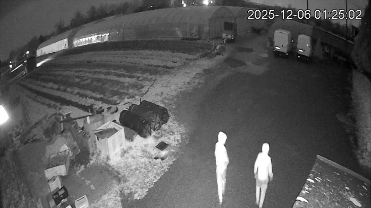 Vol de camion : les agriculteurs en colère face à l’insécurité grandissante