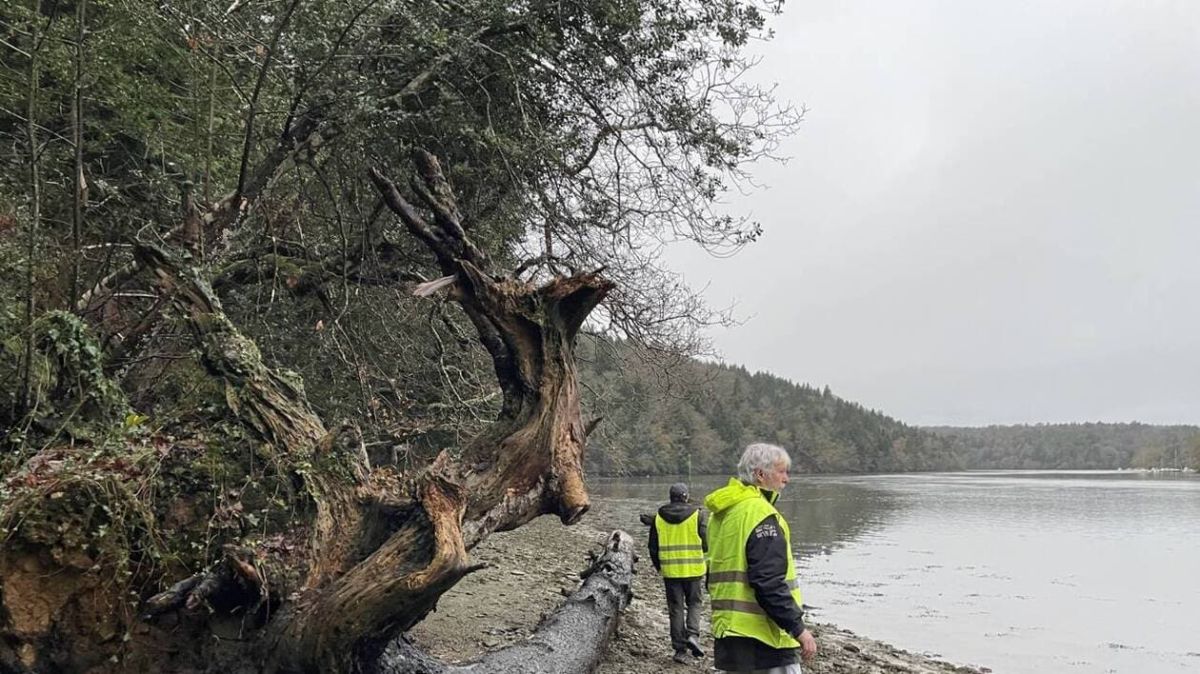 Recherches intensifiées pour retrouver le plaisancier disparu en Sud-Finistère