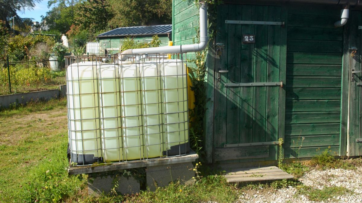 Récupération d'eau de pluie : des solutions astucieuses pour votre jardin