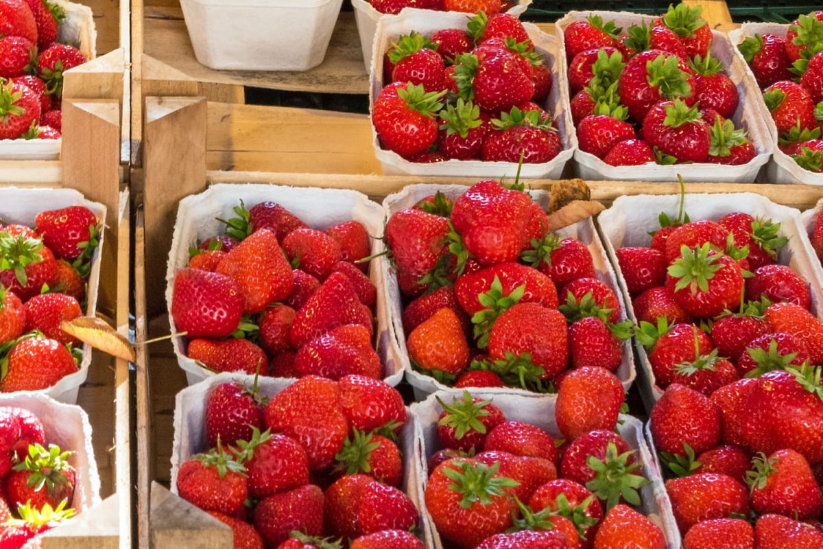 Les fraises de qualité : comment bien choisir au supermarché