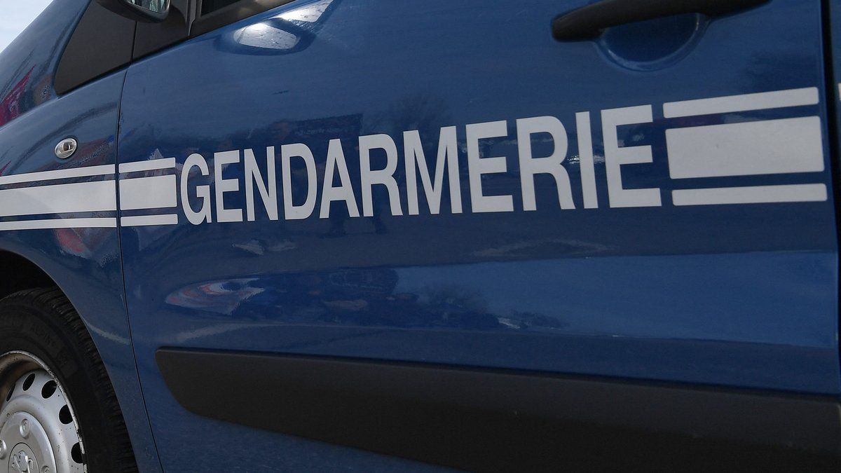 Une septuagénaire provoque un accident en roulant à contresens sur la RN4