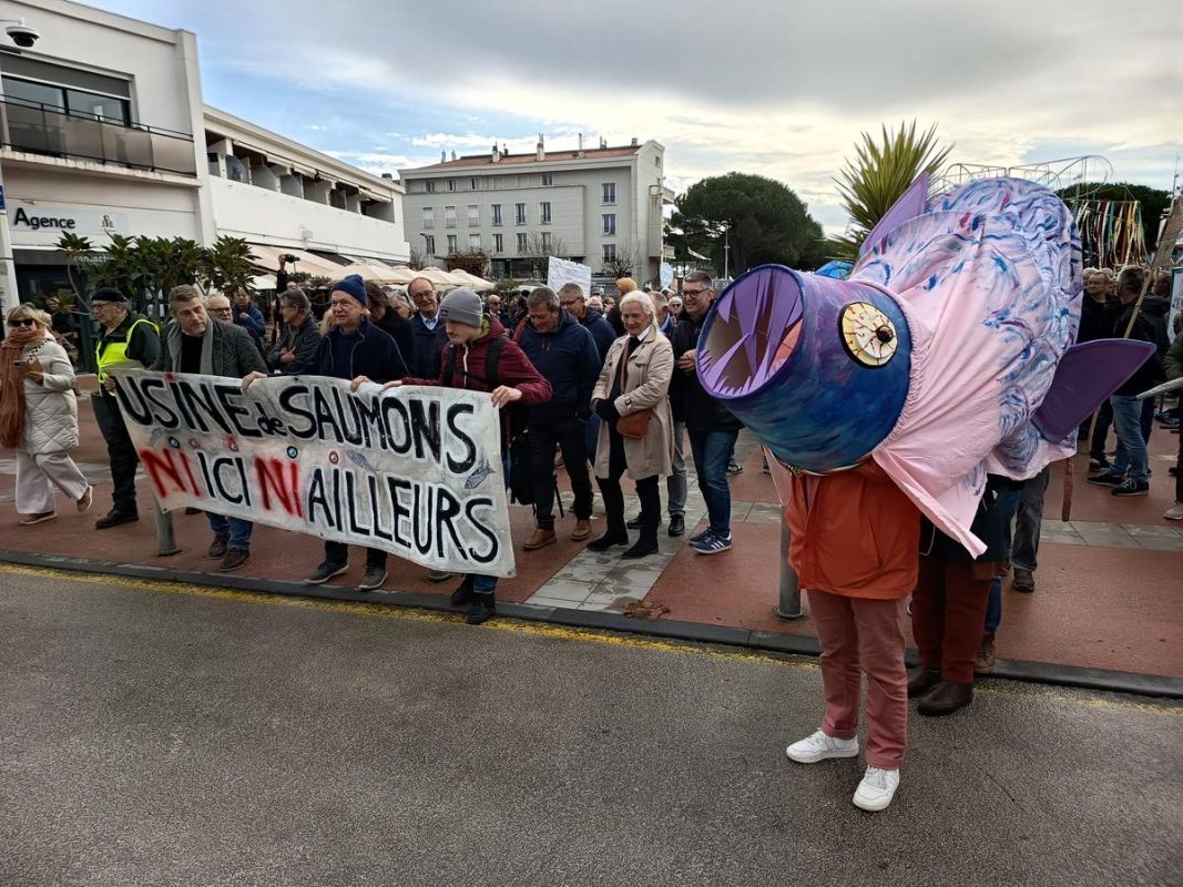 Saint-Georges-de-Didonne : le maire persiste à bloquer la motion contre Pure Salmon