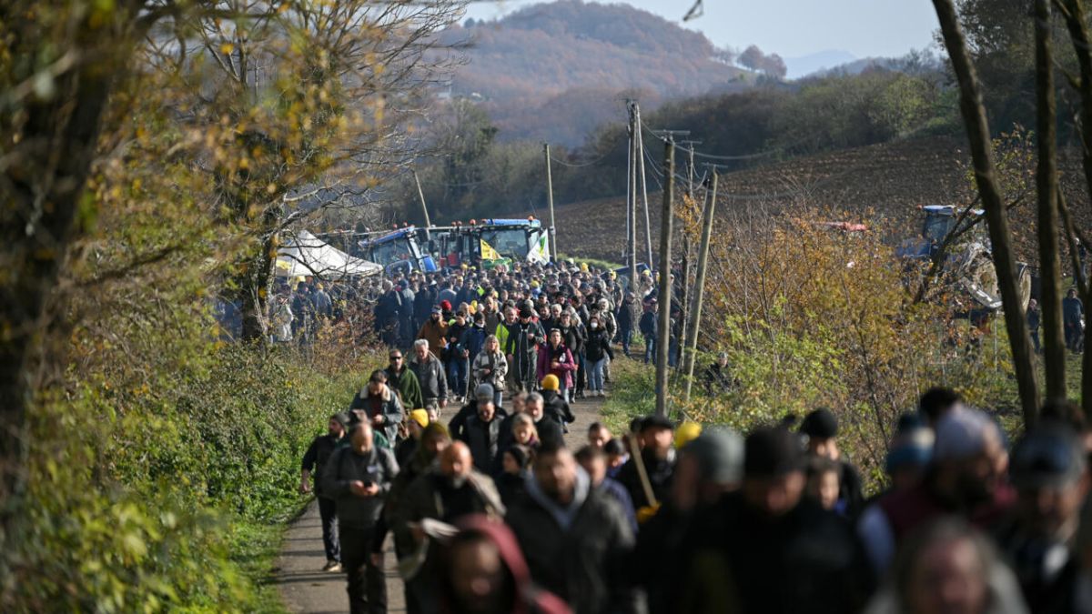 Extension de la vaccination en Occitanie : une réponse à la colère des agriculteurs