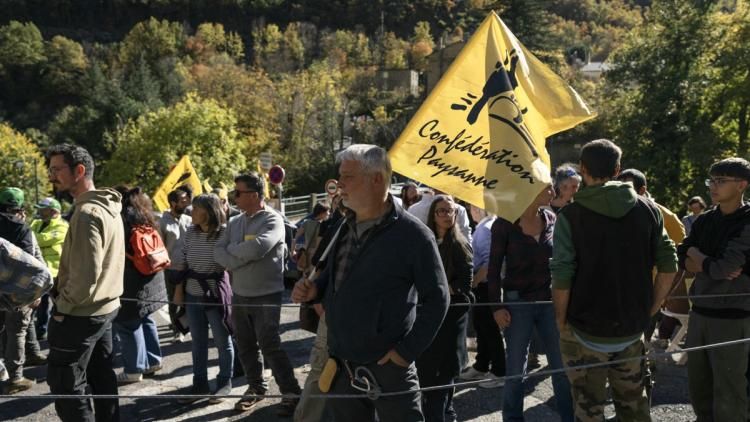Des agriculteurs en colère : l'abattage des bovins suscite des tensions à travers la France
