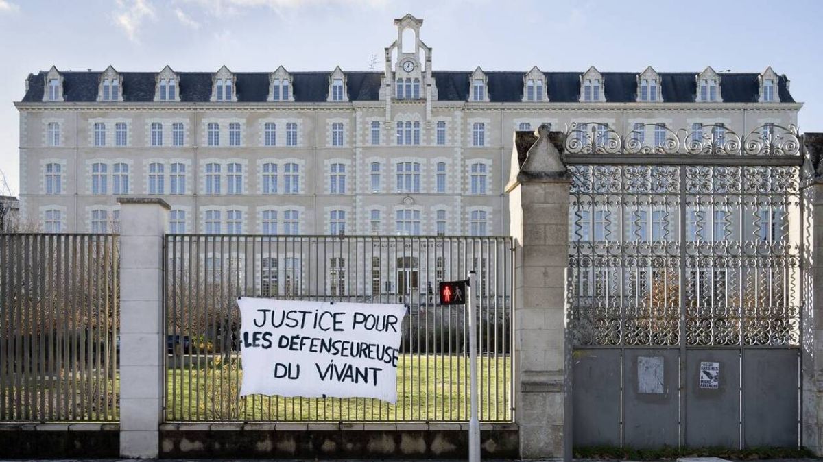 La justice face aux défis climatiques : un recours inévitable ?