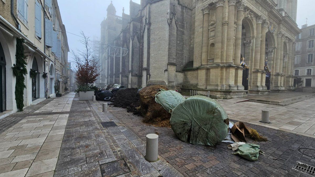 Mobilisation des agriculteurs à Auch : la lutte contre la dermatose nodulaire s'intensifie