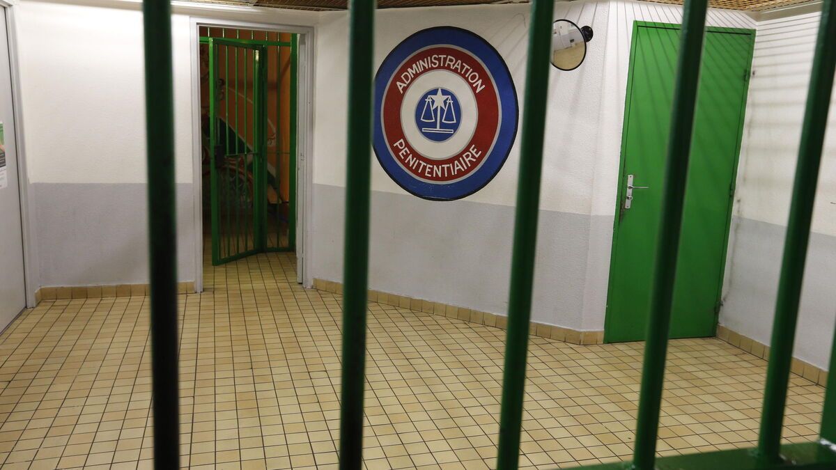 Une bande de cambrioleurs à l'acide jugée à Nanterre : un lien troublant avec la mafia géorgienne ?