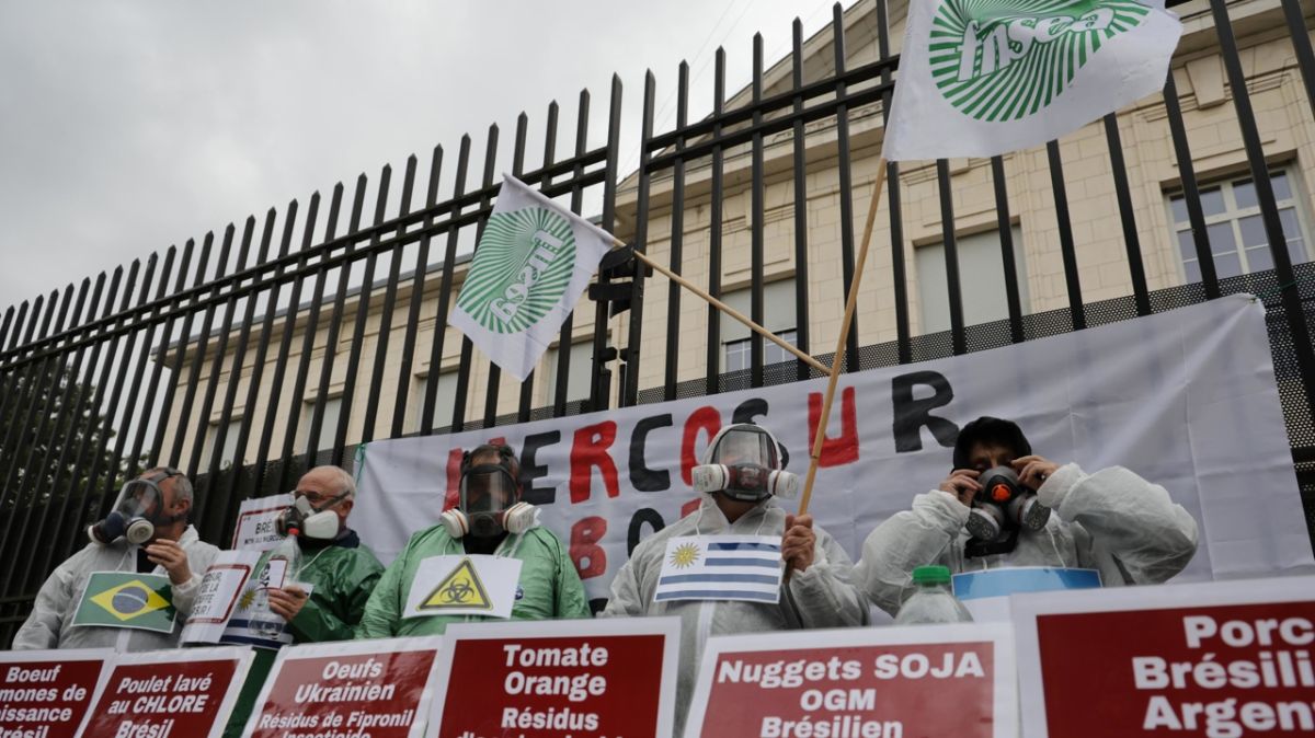 L'accord Mercosur : de nouvelles protections pour les agriculteurs européens