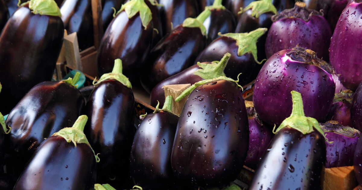 Découvrez la tartounette aux aubergines de Christophe Michalak