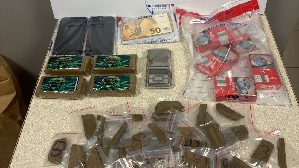 Des gendarmes frappent un coup dur au trafic de cannabis à La Roque-d’Anthéron