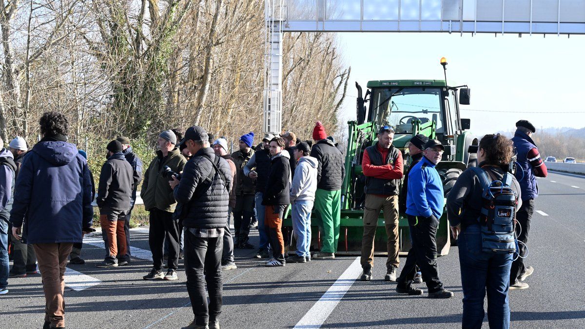 Mobilisation des agriculteurs à Toulouse : une réponse urgente à la dermatose nodulaire