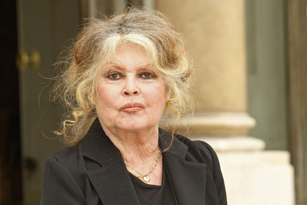 Brigitte Bardot : entre icône du cinéma et emblème de l'extrême droite