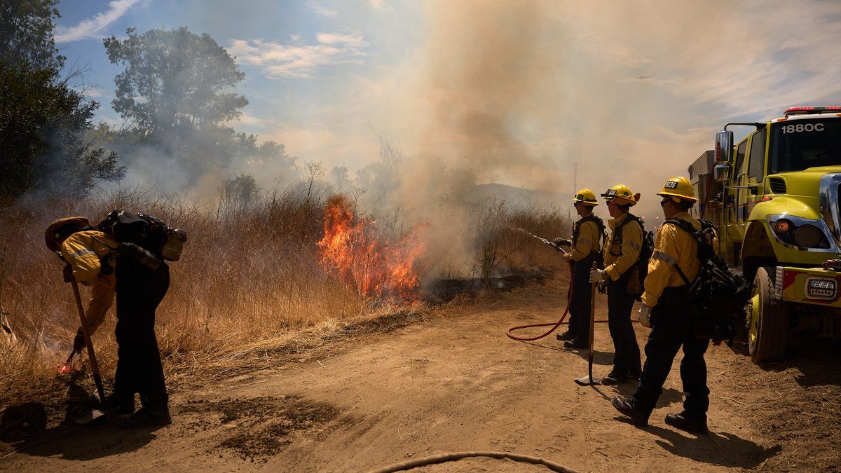 2025 : une année record sous le signe des températures extrêmes