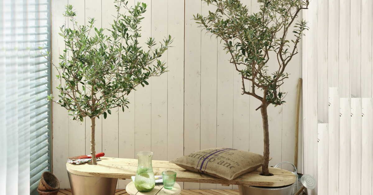 Un banc de jardin : l'écologie à portée de main