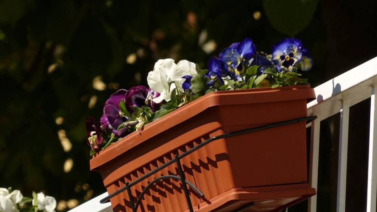 Un morceau de balcon chute d'un immeuble à Vitry-sur-Seine : le drame évité