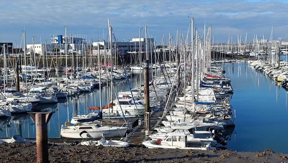 Une dispute tragique au port des Minimes : femme poignardée, son conjoint en garde à vue