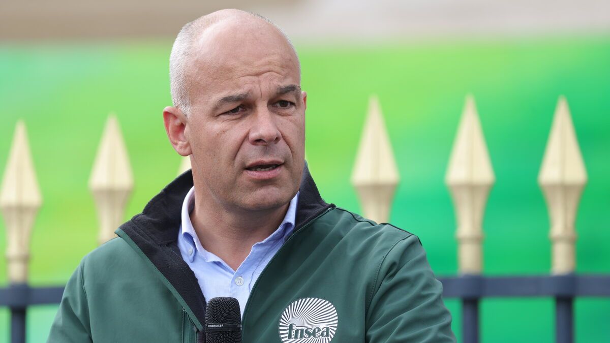 La FNSEA demande une loi spéciale pour l'agriculture : quelles conséquences pour les agriculteurs ?