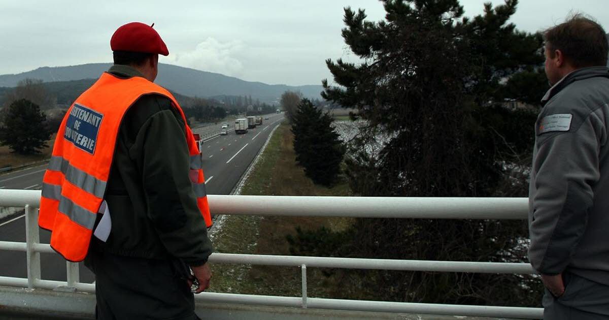 Sangliers sur l'A7 : vigilance accrue après des accidents