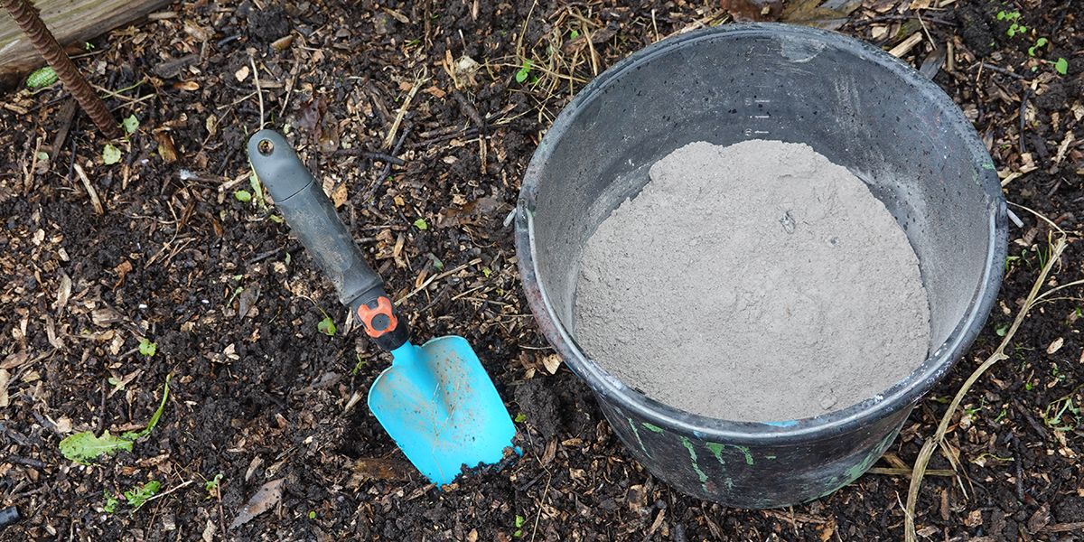 La magie des cendres de bois : un boost naturel pour votre jardin