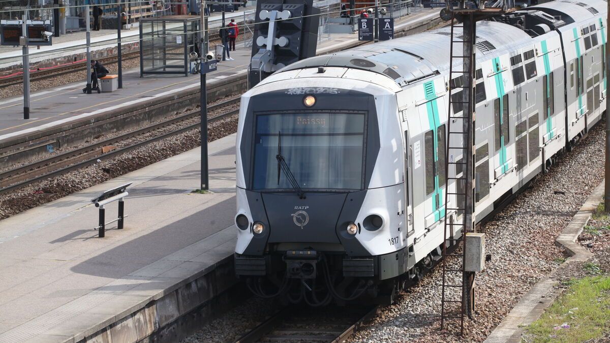 Des arbres tombés perturbent le trafic en Île-de-France