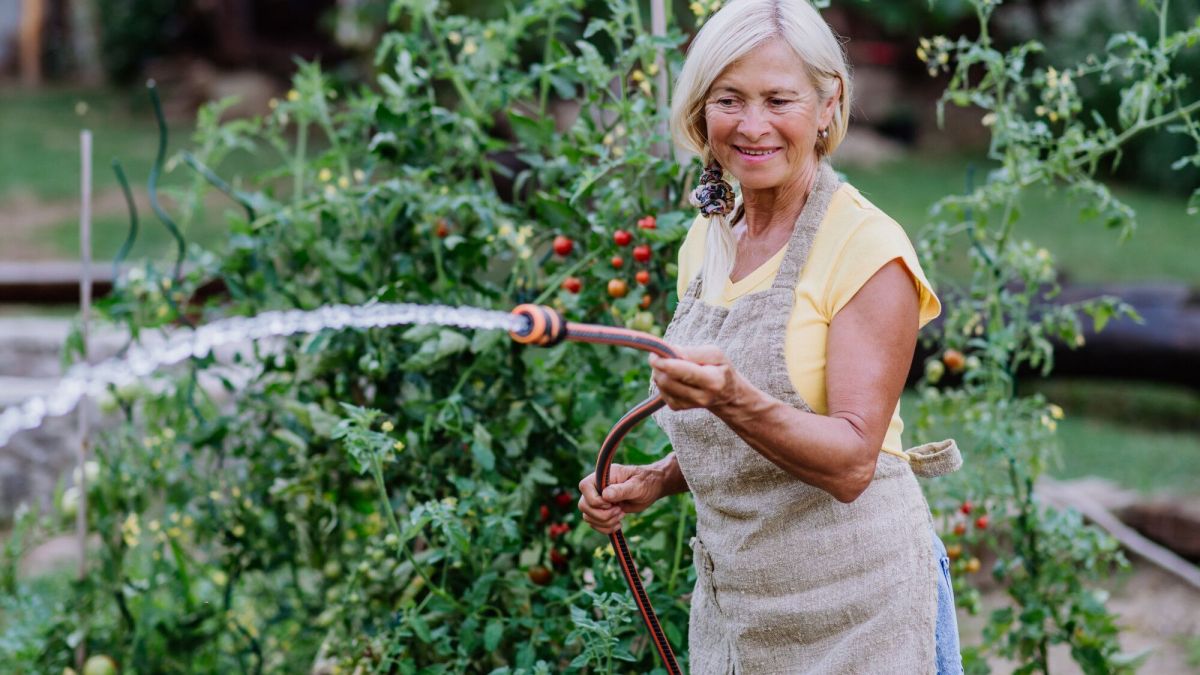 Sécheresse : une situation préoccupante dans plusieurs communes françaises