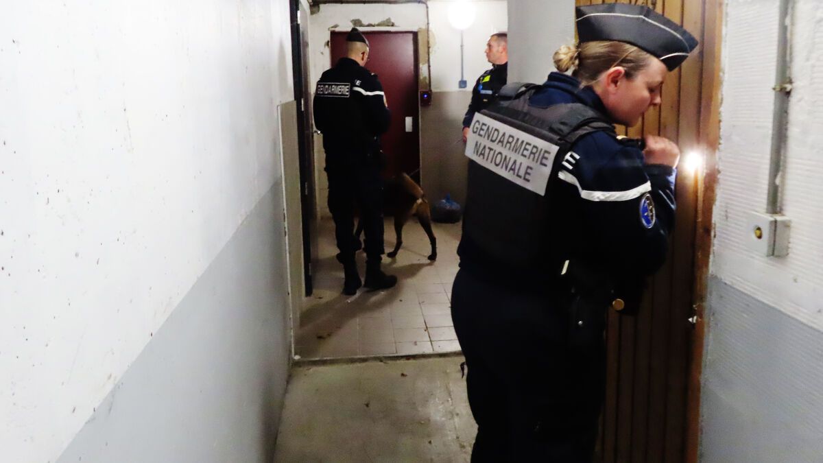 Un réseau de trafic de drogue démantelé à Crépy-en-Valois après six mois d'enquête