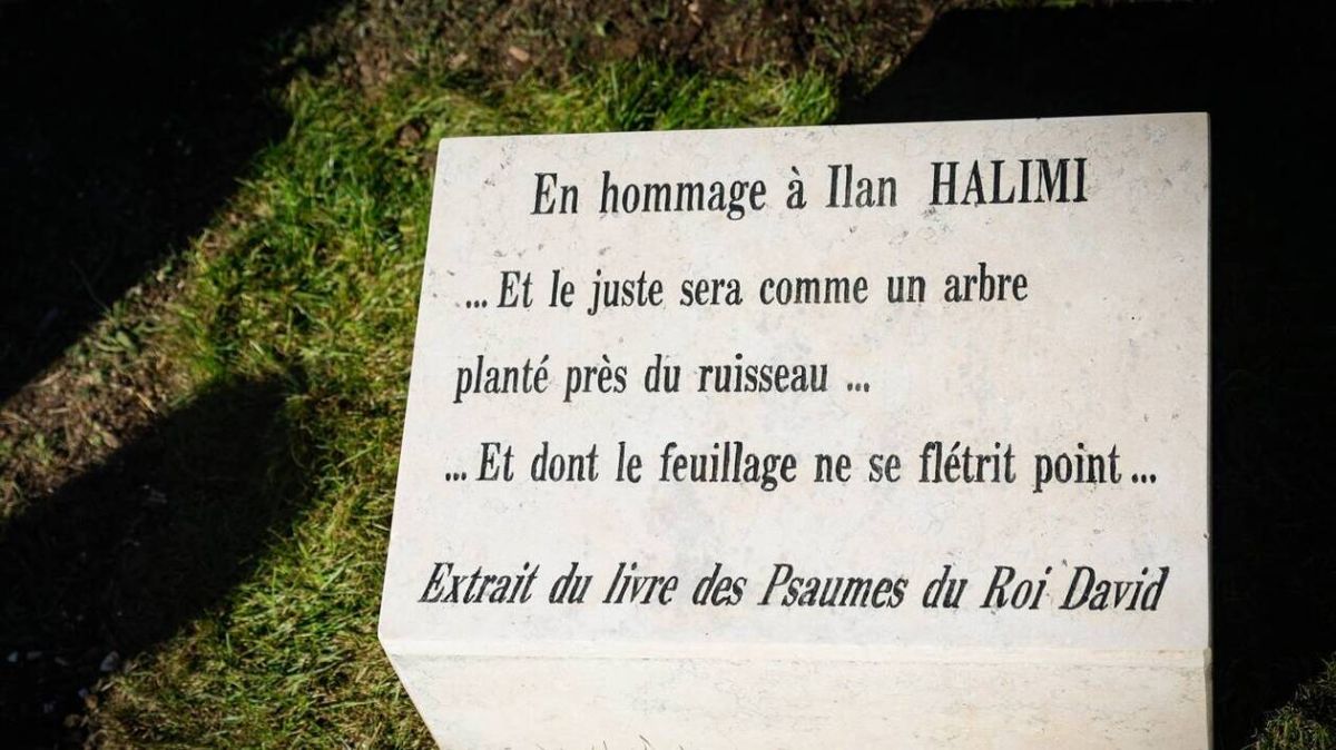 L'olivier en hommage à Ilan Halimi mutilé : une provocation insupportable