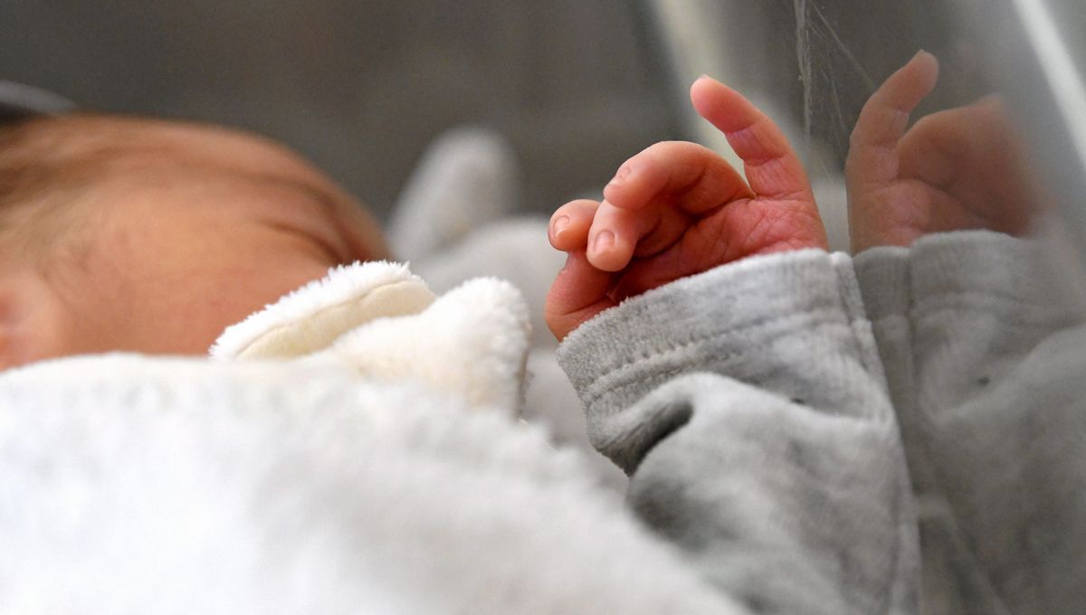 Toulouse déroge à la tendance : deux naissances pour chaque décès en 2025