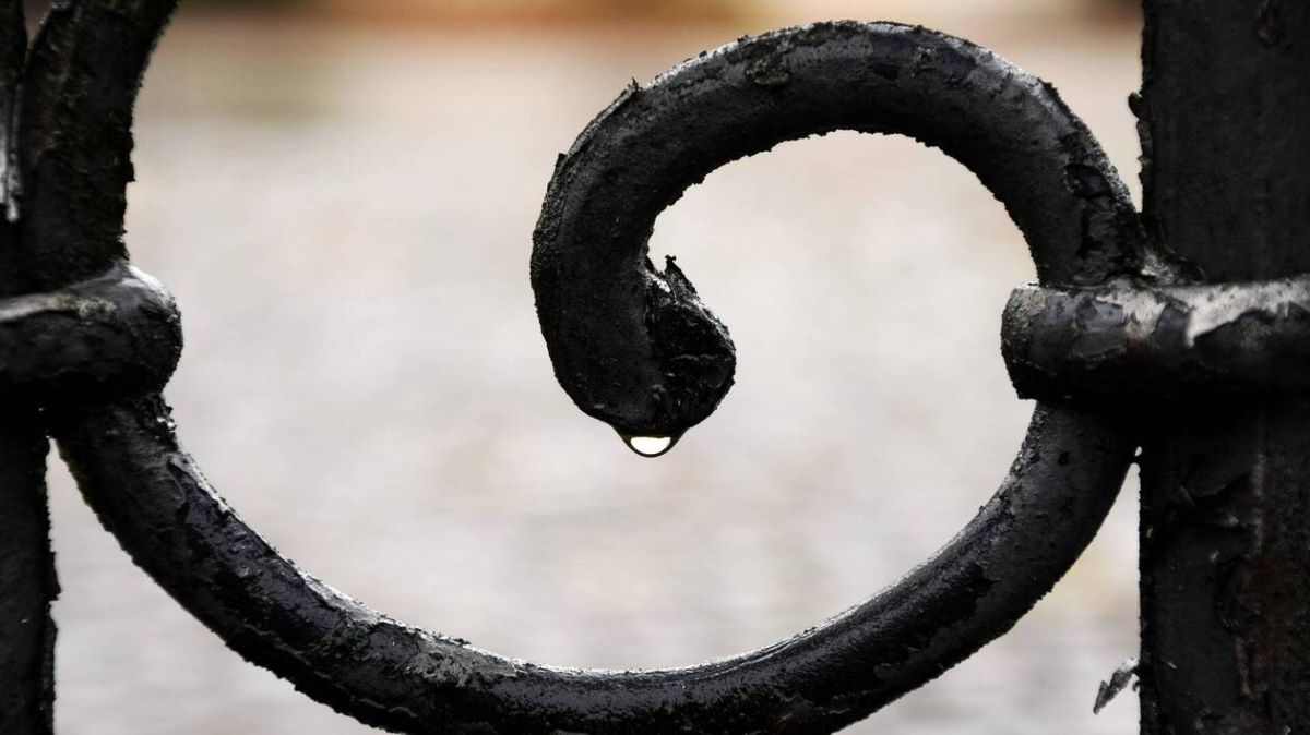 Météo à Cherbourg-Octeville : un vendredi sous la bruine et des rafales de vent