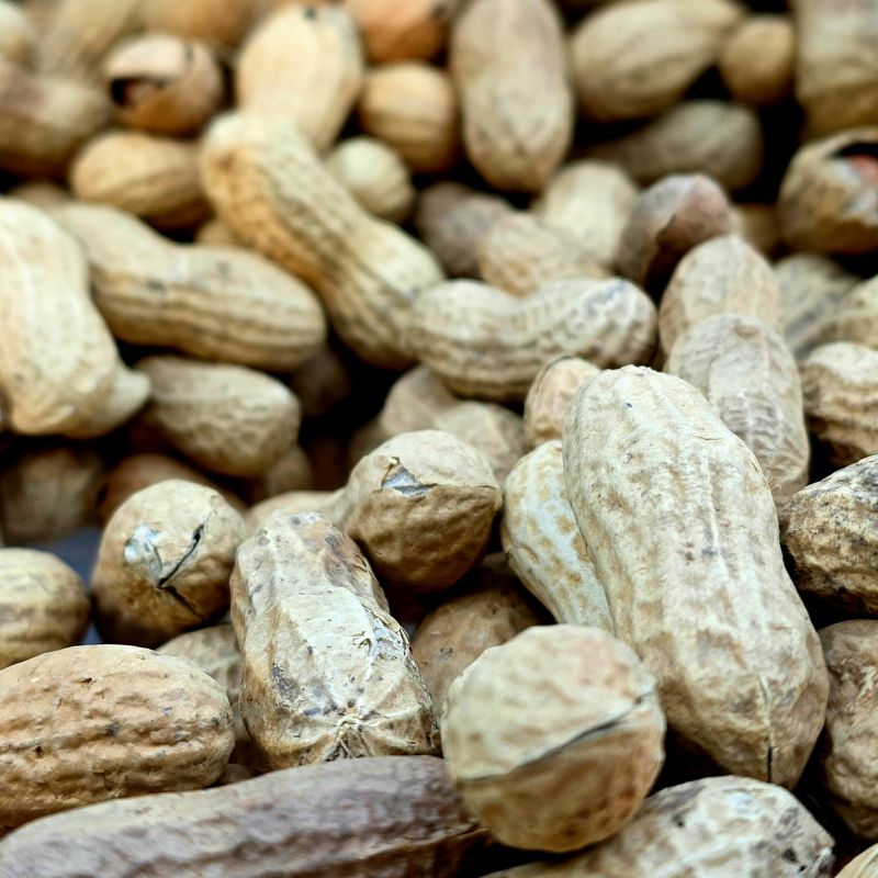 Mots français d'origine espagnole : une surprise linguistique