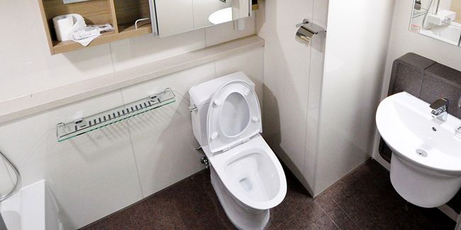 Des toilettes éclatantes avec ces solutions écologiques