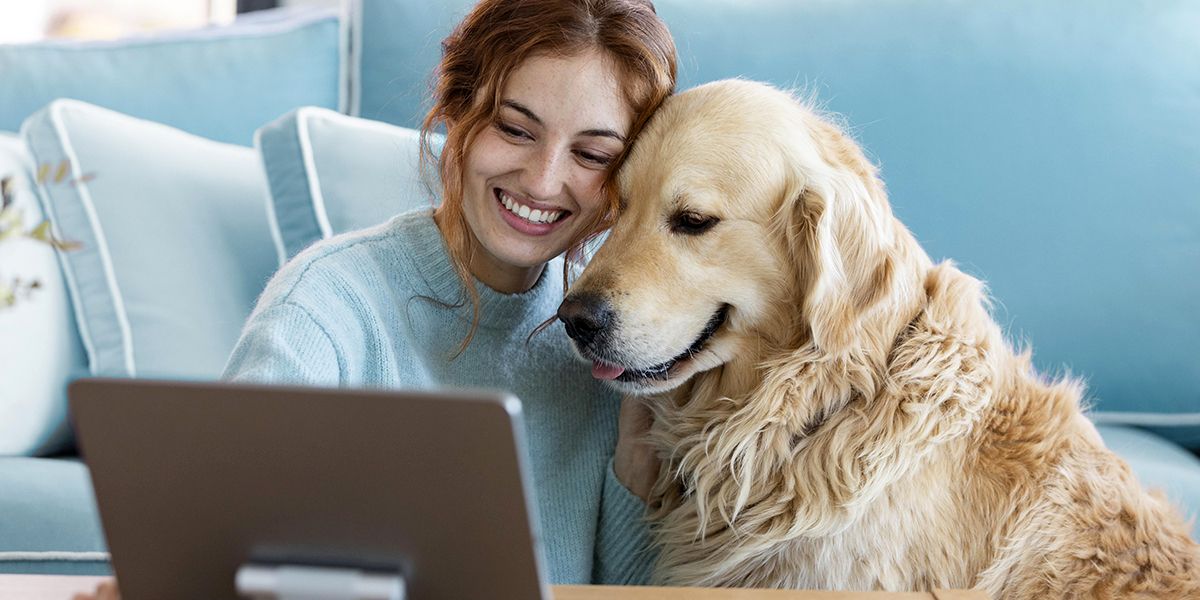2025 : découvrez le comparateur d'assurance pour chien, gratuit et sans engagement