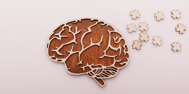 Perdre ses facultés mentales en vieillissant : mythe ou réalité ?