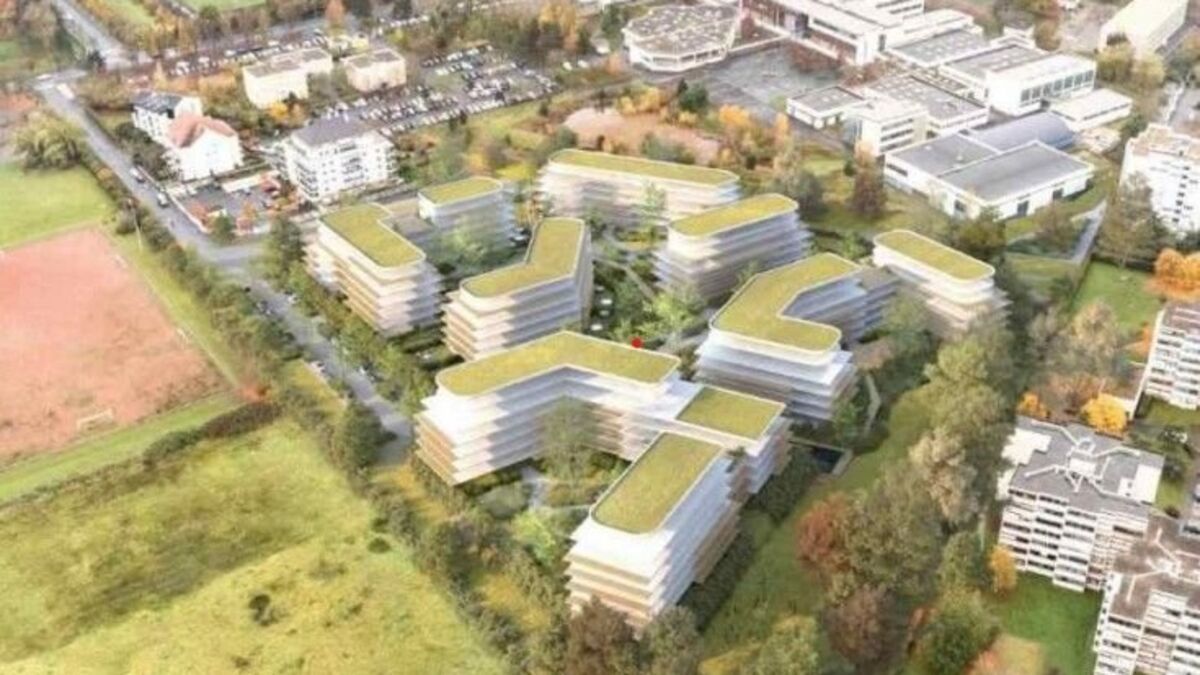 Colère grandissante contre un projet immobilier menaçant la biodiversité à Chennevières