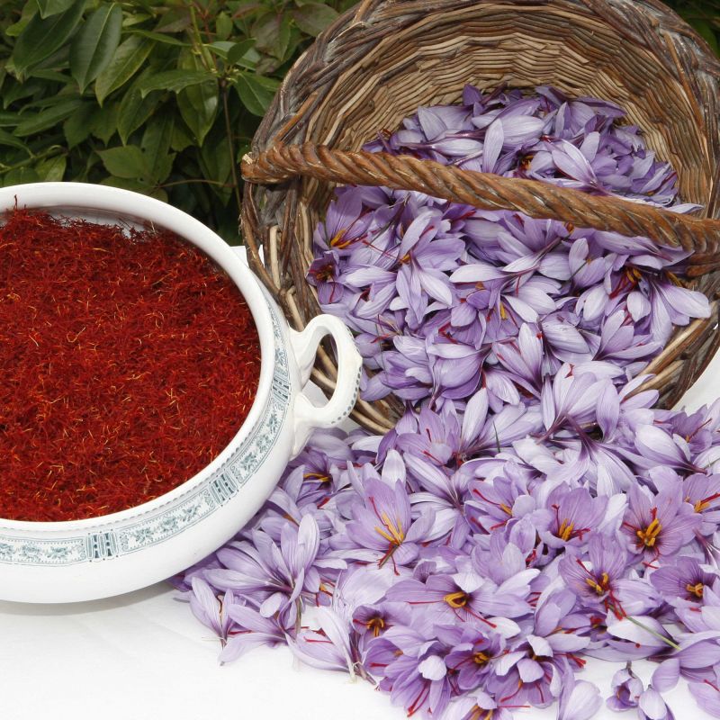 Le safran : une épice aux vertus anti-dépresseurs révélées ?