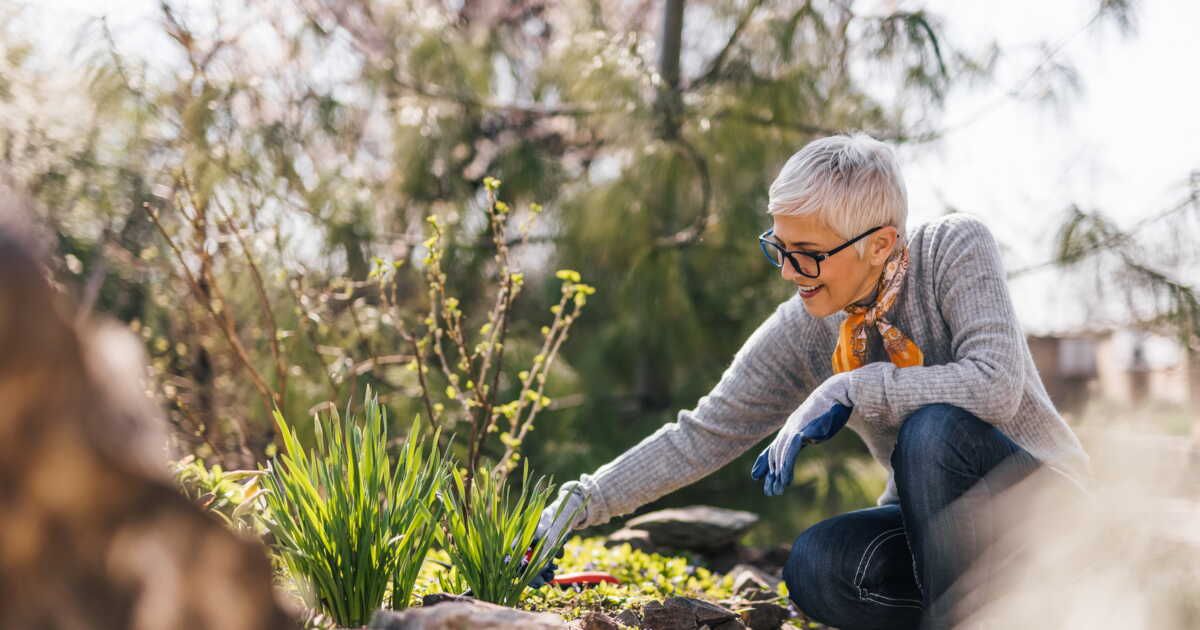 bien désherber avec une binette : techniques et astuces pour un jardin sain