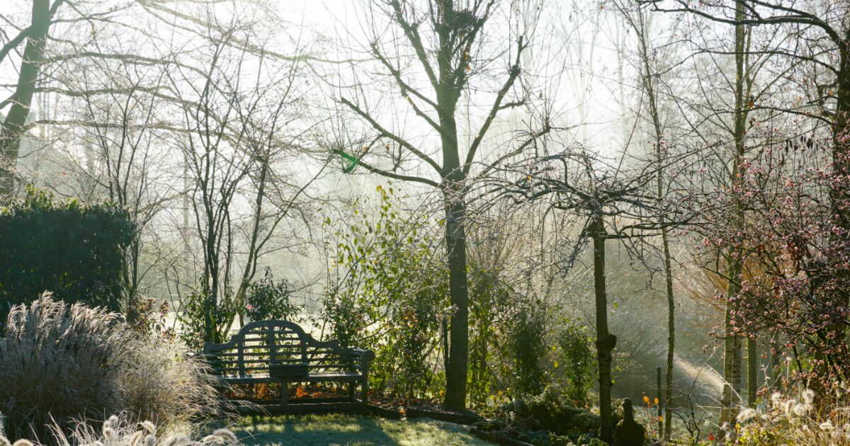 protéger son jardin du froid : astuces pour des plantes prêtes au printemps