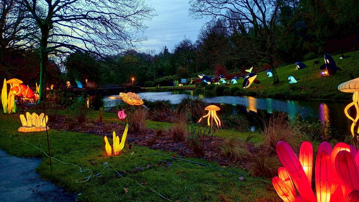 L’odyssée lumineuse illumine les jardins de Brest