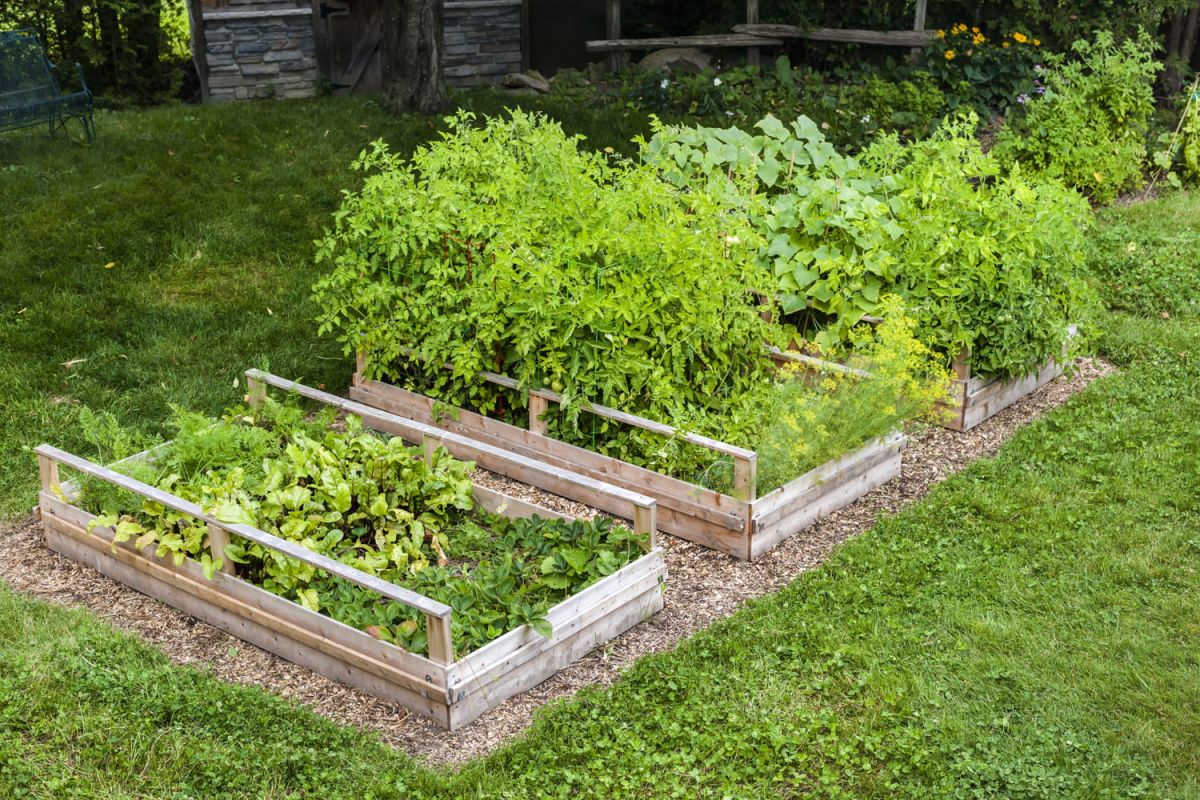 Cultiver en lasagne : la méthode écolo qui va changer votre jardin