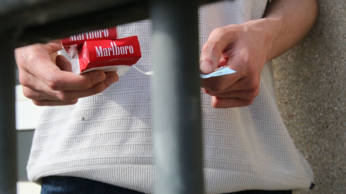 Saisies impressionnantes de contrefaçon sur l'autoroute A1 : 1 850 cartouches de fausses Marlboro découvertes