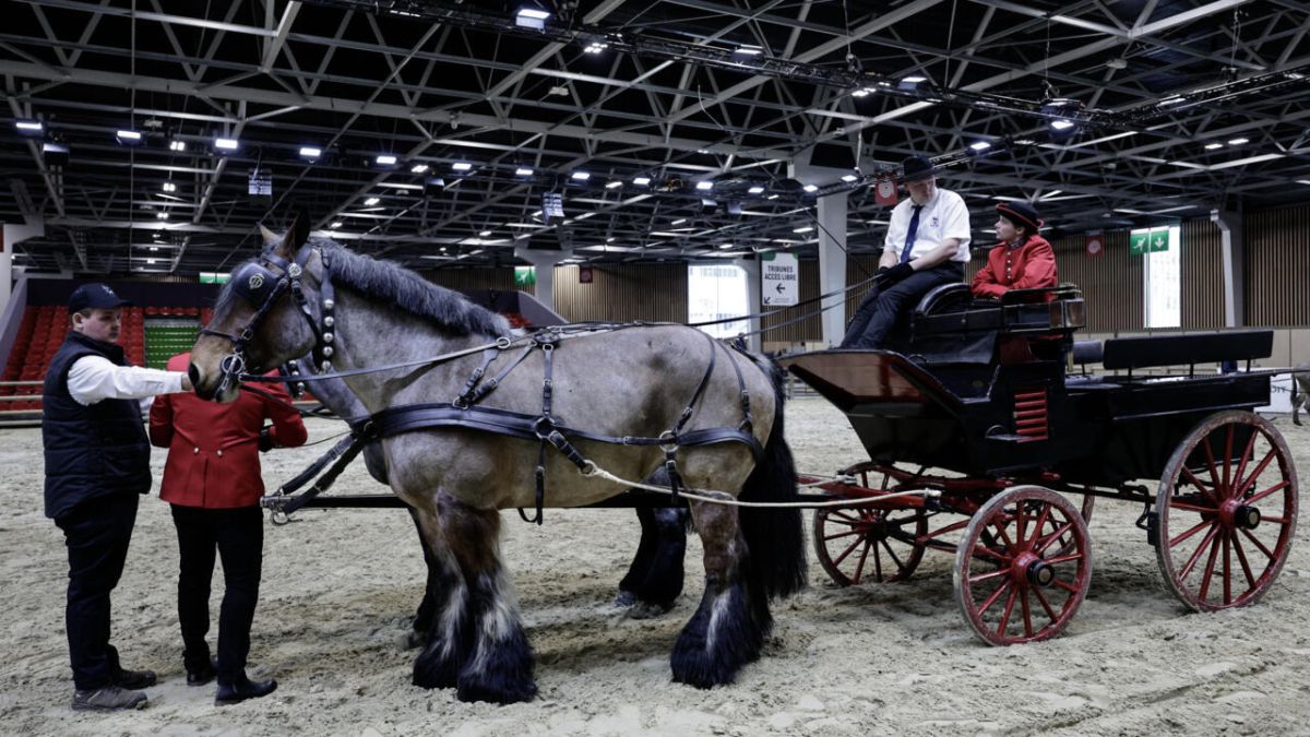 Un Salon de l'agriculture en demi-teinte pour Emmanuel Macron