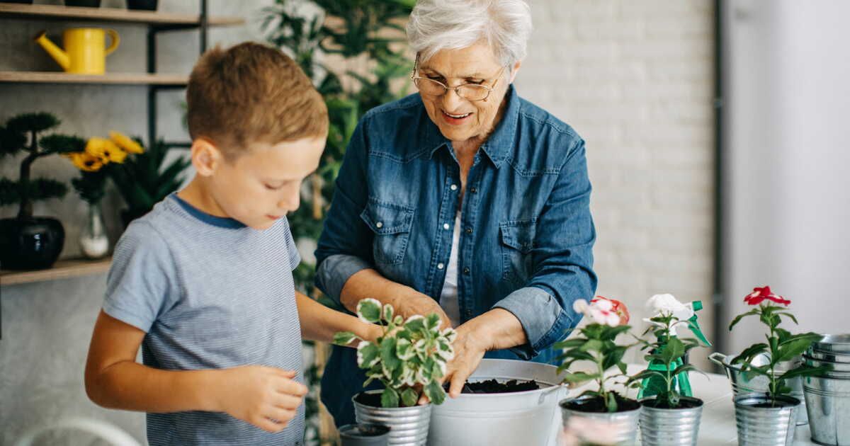 Comment différencier une plante morte d'une plante en dormance ?