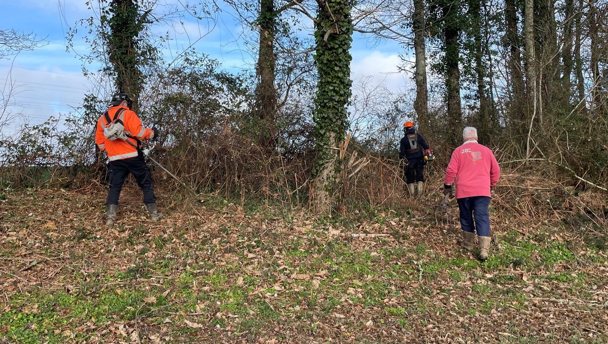 Les sentiers de Saint-Junien retrouvent vie grâce au bénévolat