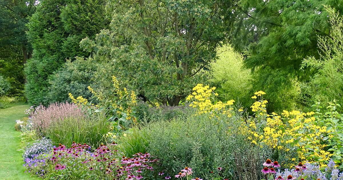 Les meilleures plantations de printemps pour un balcon fleuri jusqu'en novembre